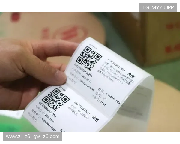 尊龙凯时博平台的法律合规性分析，保障玩家权益的法律保障措施